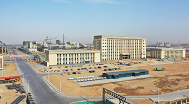 90萬噸/年BDO及可降解塑料一體化項目二期能耗指標獲自治區發改委批復